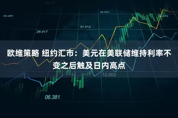 欧维策略 纽约汇市：美元在美联储维持利率不变之后触及日内高点