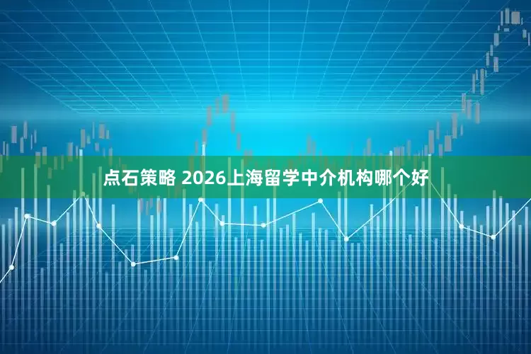 点石策略 2026上海留学中介机构哪个好